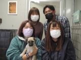 CD3635の里親決定写真