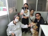 CD3637の里親決定写真